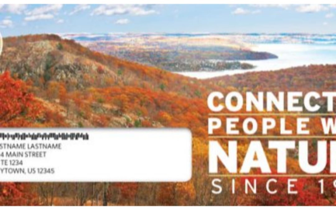 The Mail Moment: Creating Envelopes That Get Opened